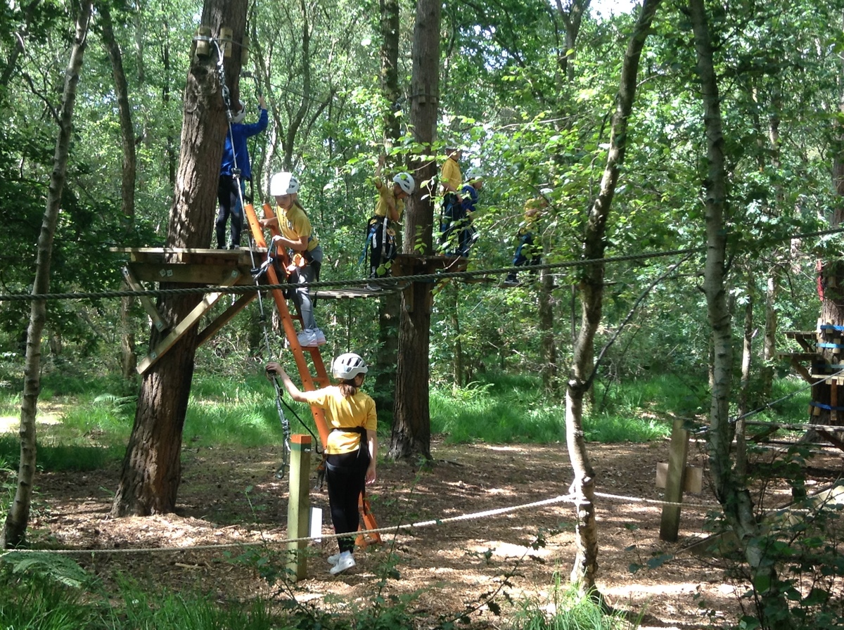 Wild Pines Park